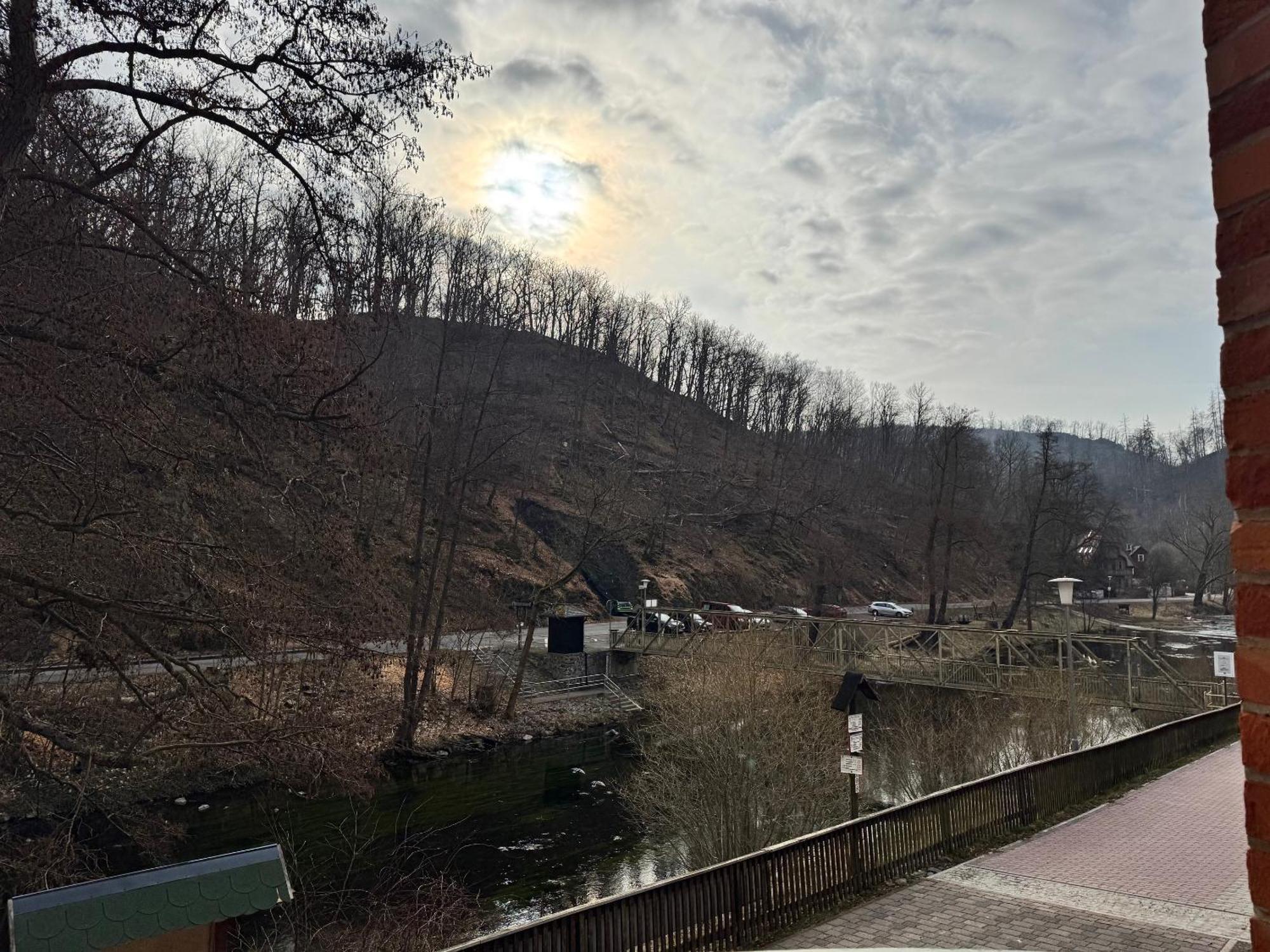 Hotel Bodeblick 탈레 외부 사진